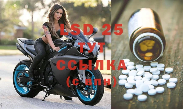 гидропоника Алзамай
