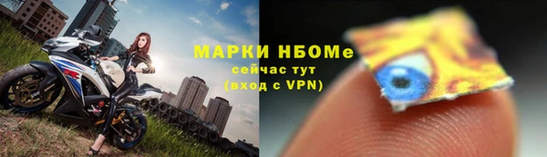гидропоника Алзамай