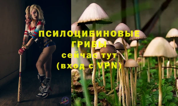шишки Алексеевка