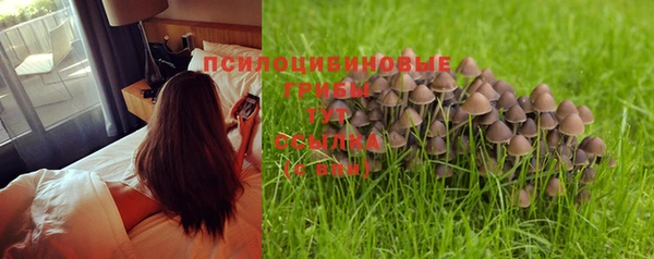 шишки Алексеевка