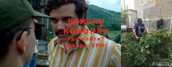 гидропоника Алзамай